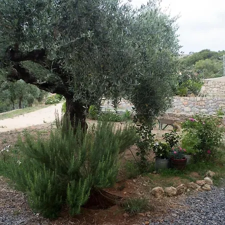 Casa Oliva Hideaway 200m From Delphinia Сasa de vacaciones Stoúpa